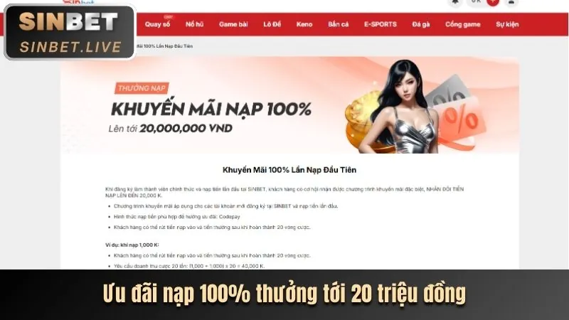 Tổng quan lợi ích VIP Vicwin